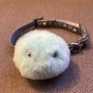 EUC Little Monster dog collar